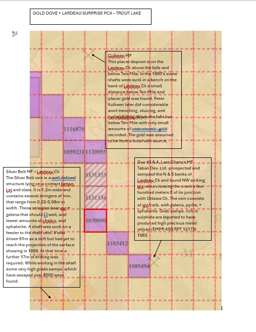 Gold Dove and Lardeau Surprise PCX Claims