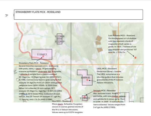 Strawberry Flats MCX Claim